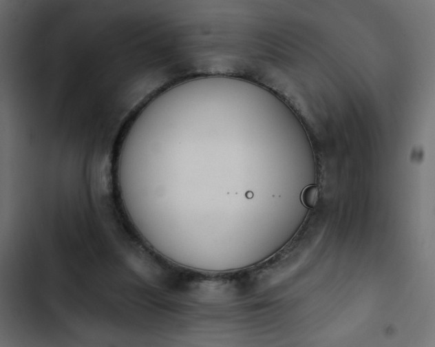 X0000103930251200809261710