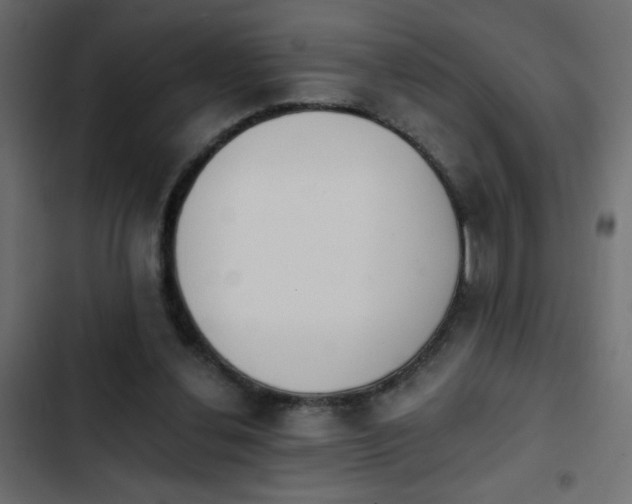 X0000103930252200809261710