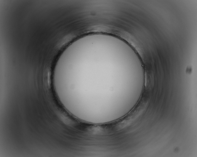 X0000103930253200809261710