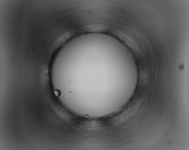 X0000103930254200809261710