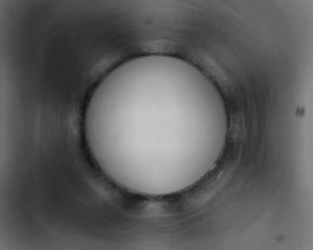 X0000103930255200809261710