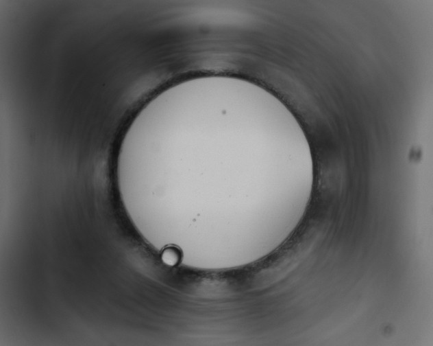X0000103930256200809261710