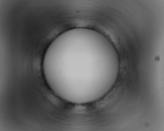 X0000103930257200809261710