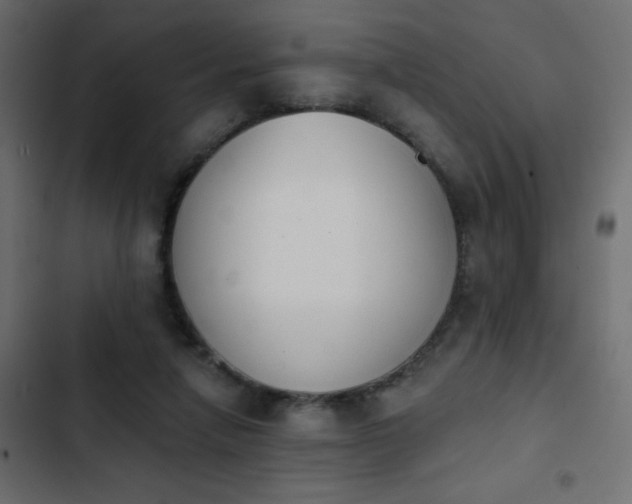 X0000103930258200809261710