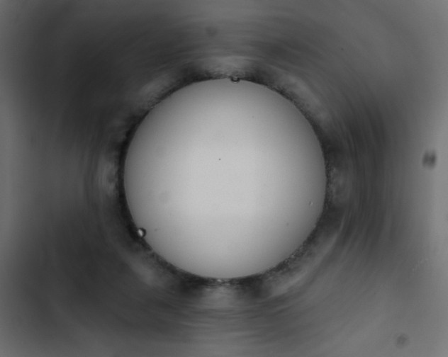 X0000103930259200809261710