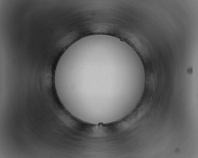 X0000103930261200809261710