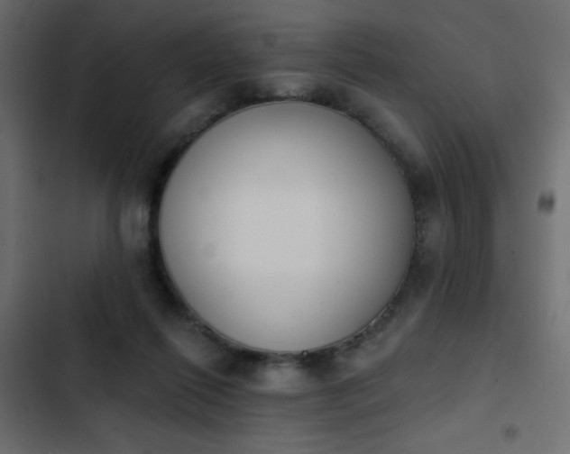 X0000103930262200809261710