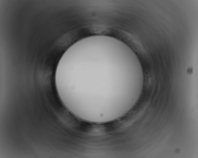 X0000103930263200809261710