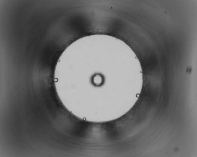 X0000103930264200809261710