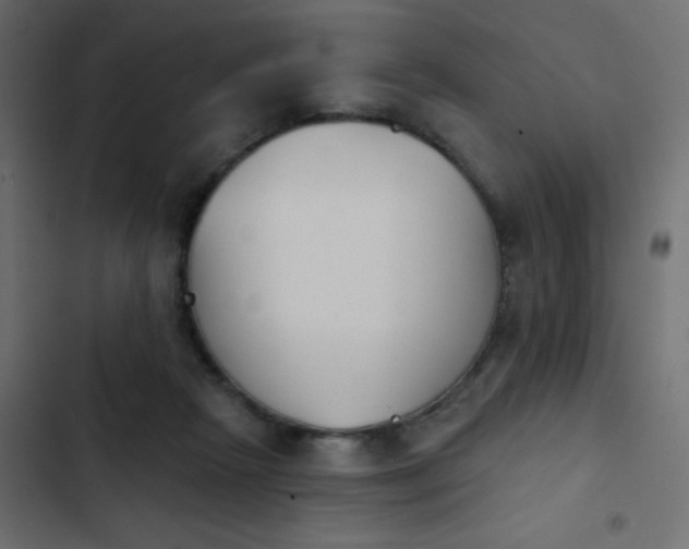 X0000103930265200809261710