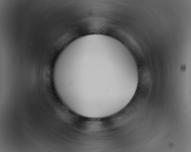 X0000103930266200809261710