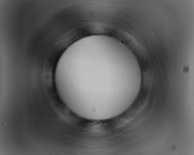 X0000103930267200809261710