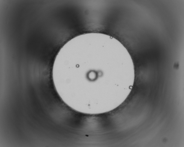 X0000103930268200809261710