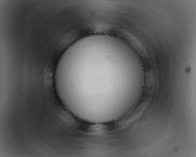X0000103930269200809261710