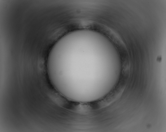 X0000103930270200809261710