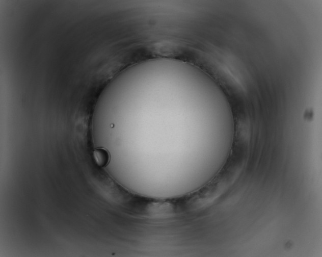 X0000103930271200809261710