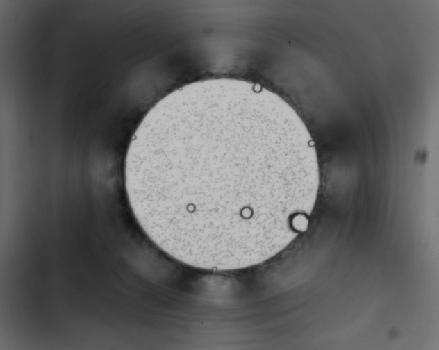 X0000103930272200809261710