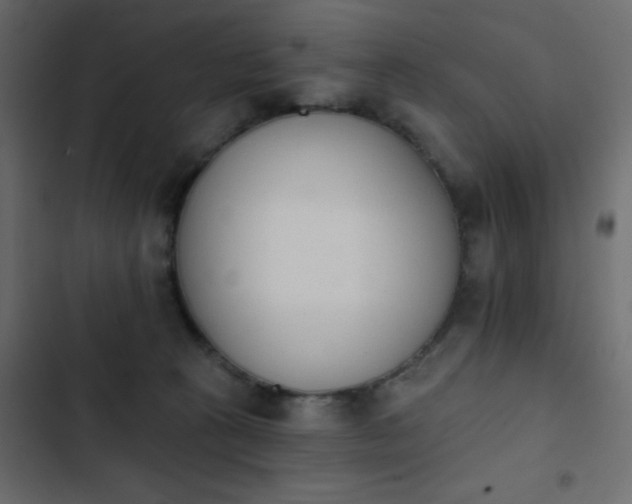 X0000103930273200809261710