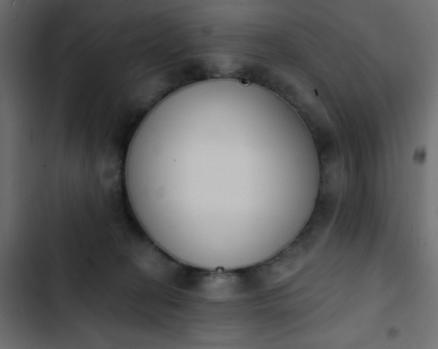 X0000103930274200809261710