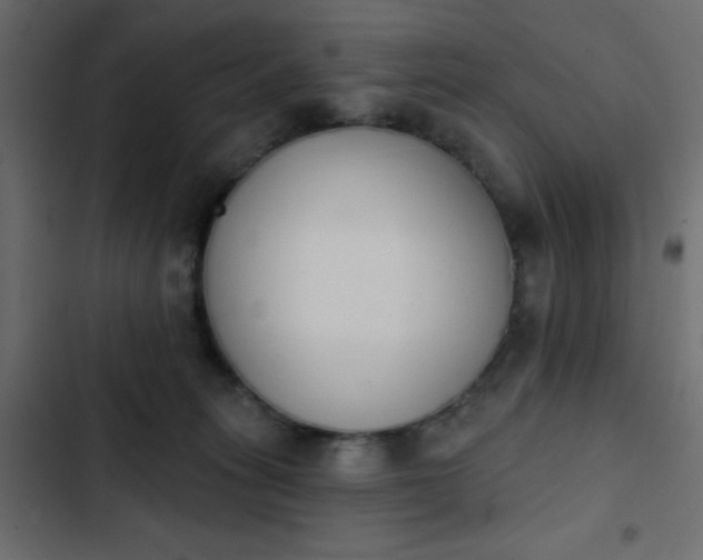 X0000103930275200809261710
