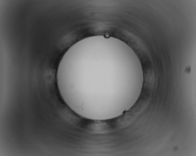 X0000103930278200809261710
