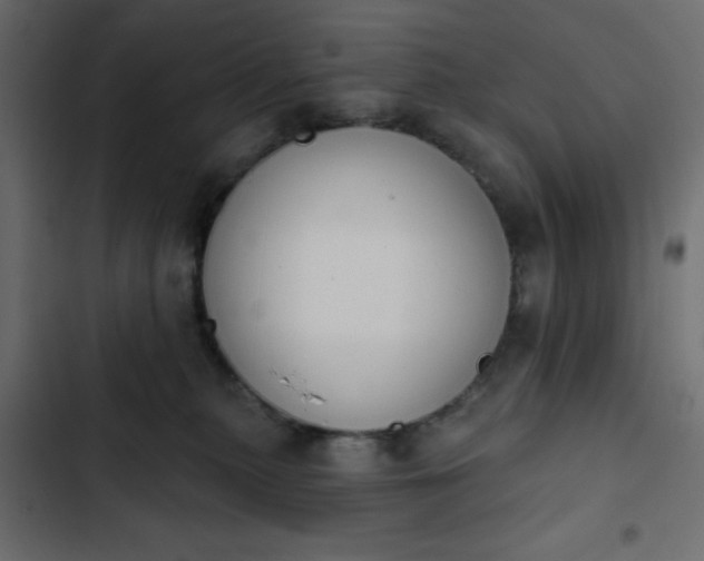 X0000103930279200809261710