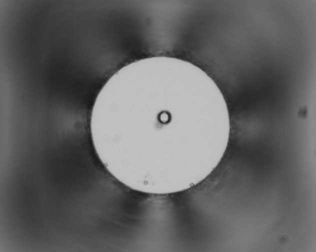 X0000103930280200809261710