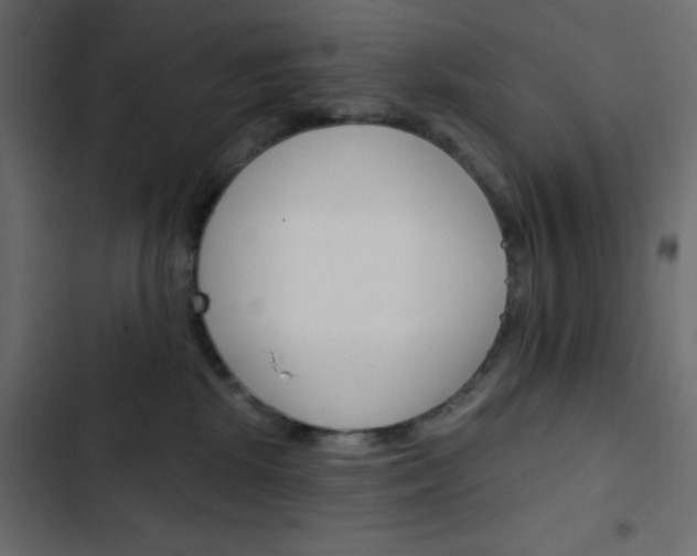 X0000103930281200809261710
