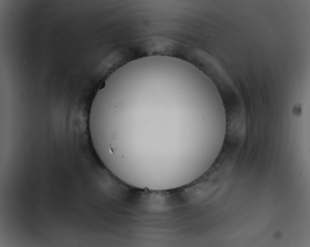 X0000103930282200809261710