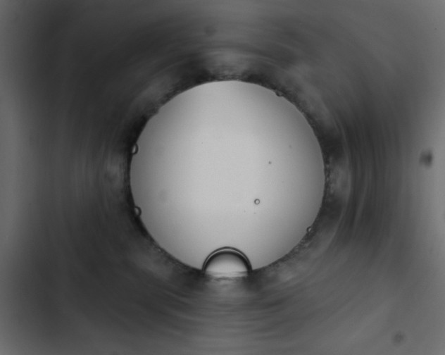 X0000103930283200809261710