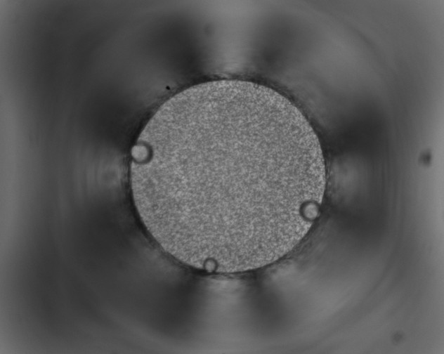 X0000103930284200809261710
