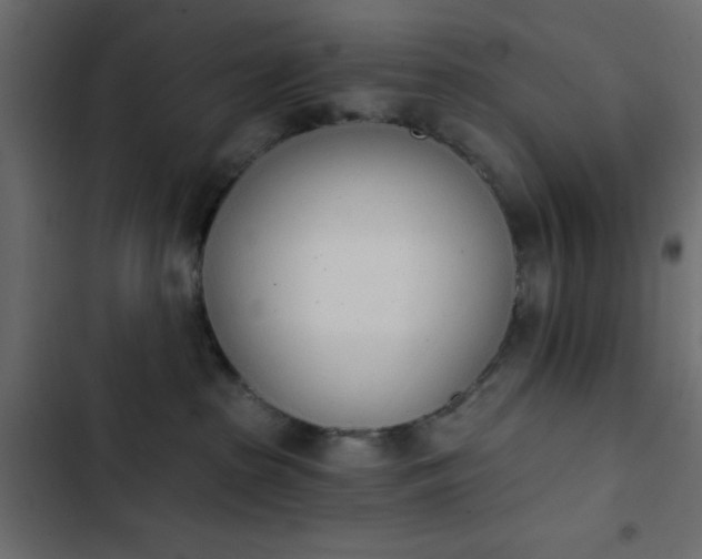 X0000103930285200809261710