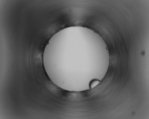 X0000103930286200809261710