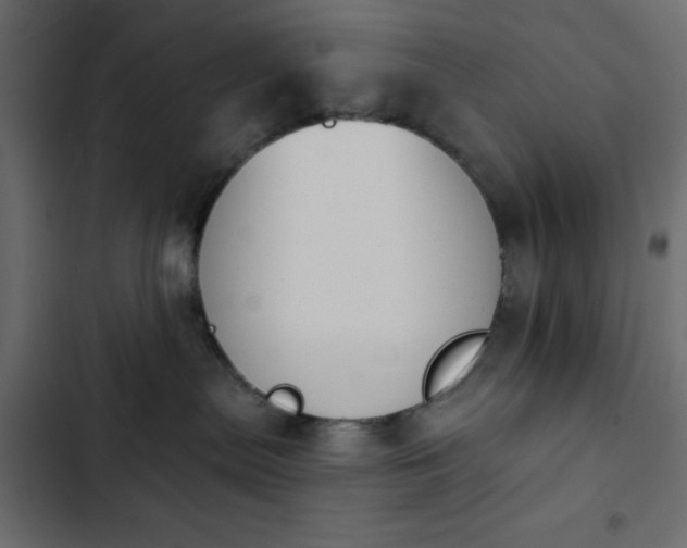 X0000103930287200809261710