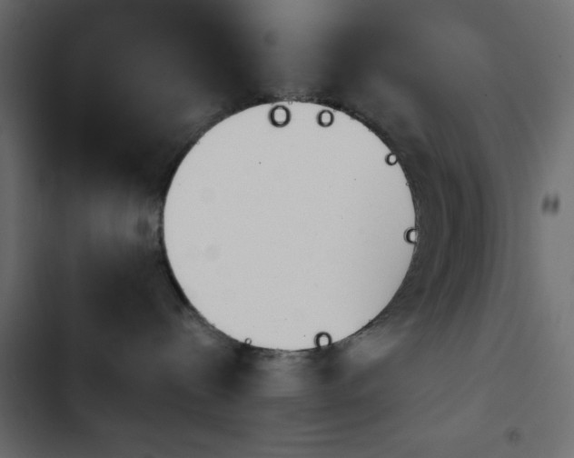 X0000103930288200809261710