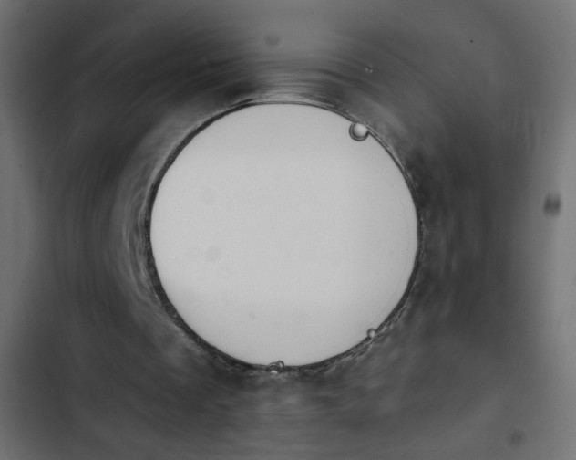 X0000103930289200809261709