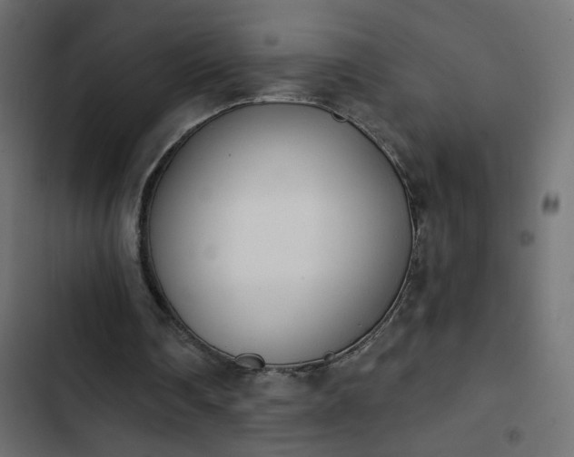 X0000103930290200809261709