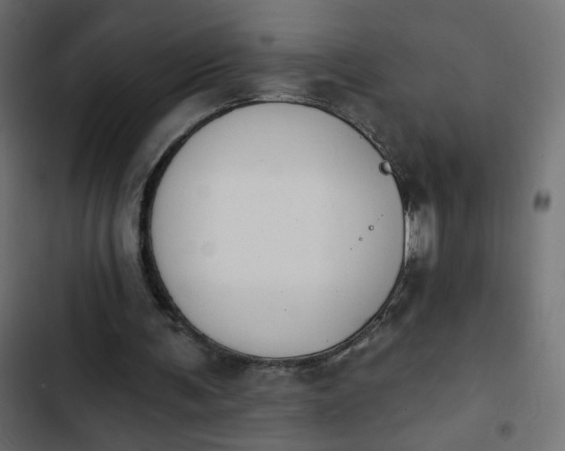 X0000103930291200809261709