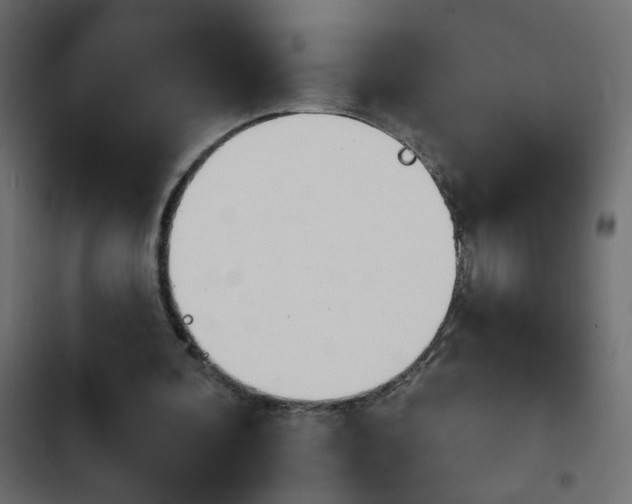X0000103930292200809261709