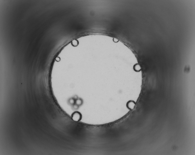X0000103930293200809261709