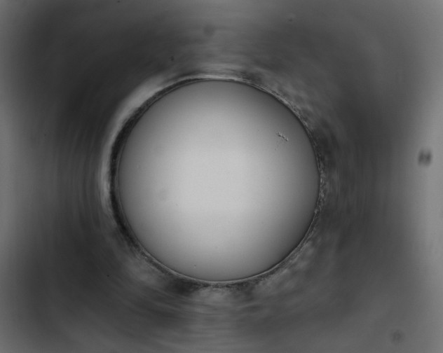 X0000103930294200809261709
