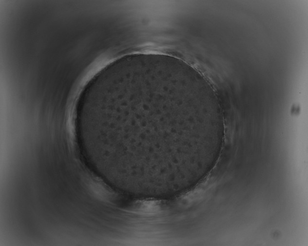 X0000103930295200809261709
