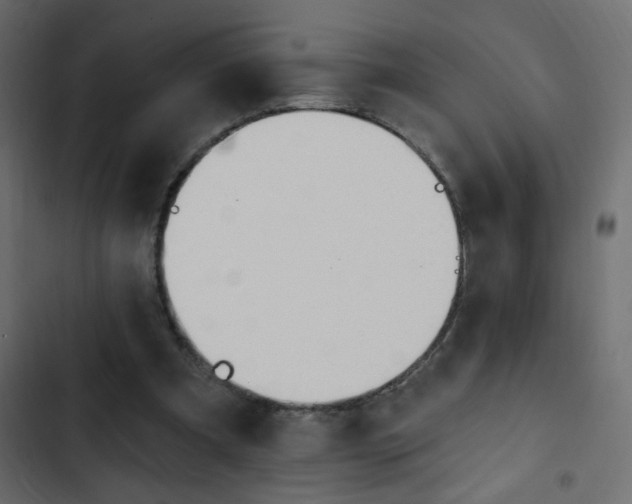 X0000103930297200809261709