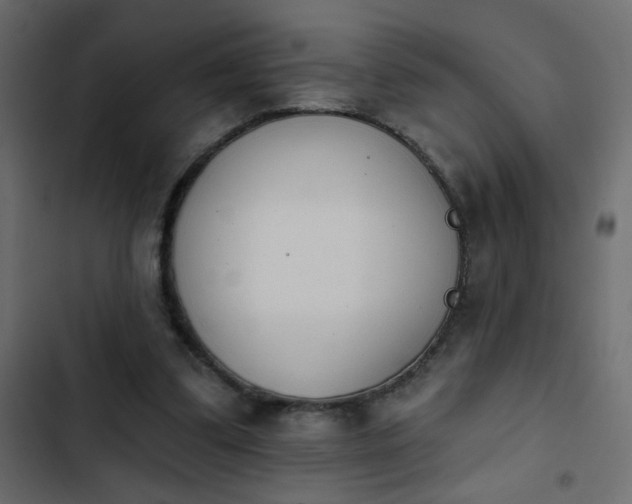 X0000103930299200809261709