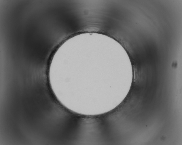 X0000103930300200809261709