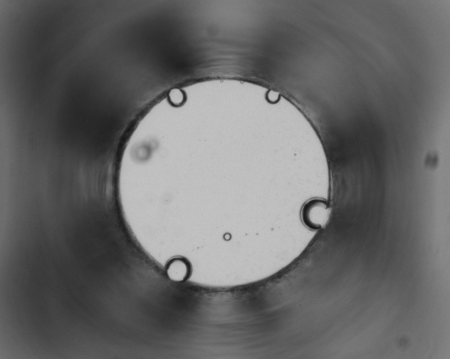 X0000103930301200809261709