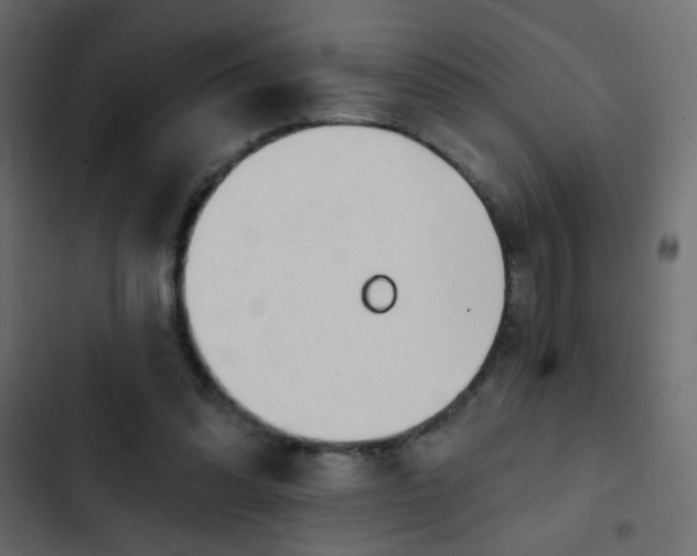 X0000103930302200809261709