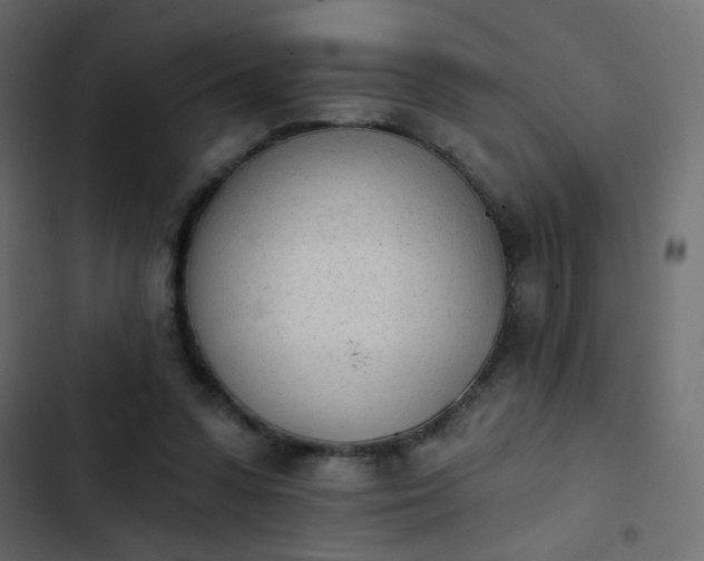 X0000103930303200809261709