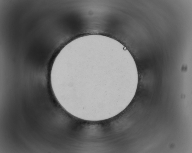 X0000103930304200809261709