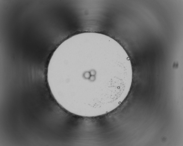 X0000103930305200809261709